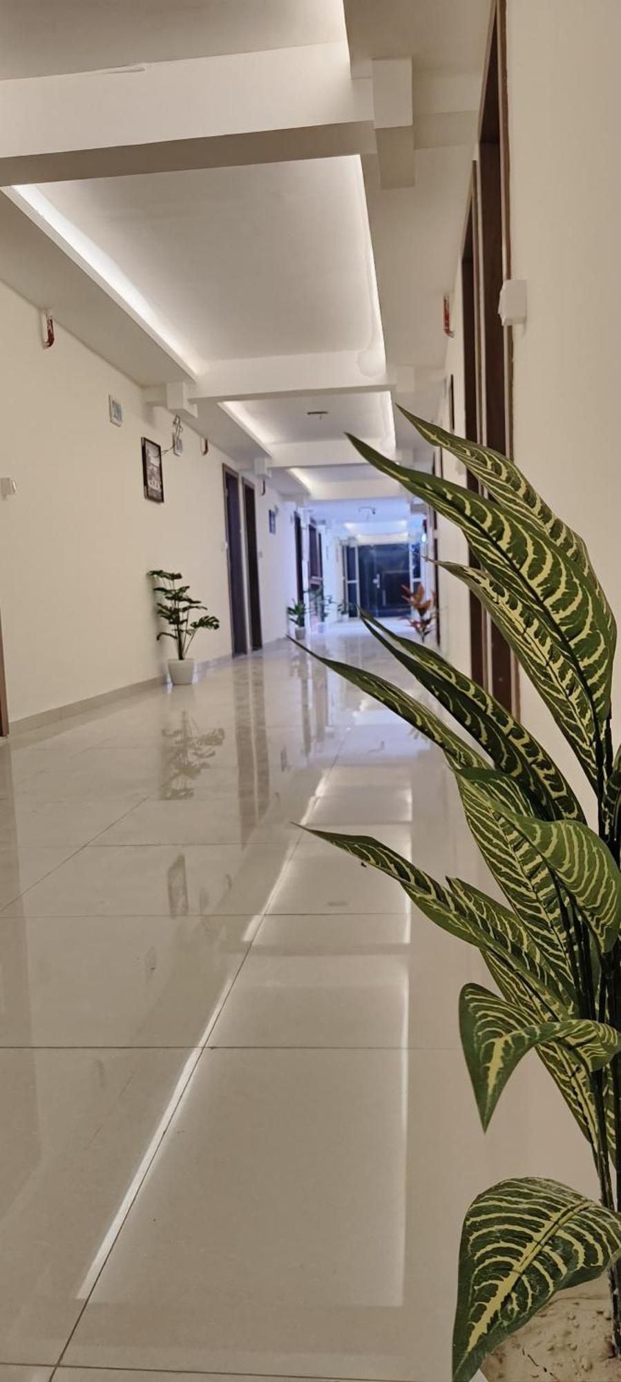 דמאן Hotel Royal Night מראה חיצוני תמונה